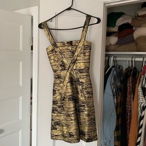 Herve Leger Fit and Flare Dress